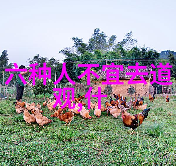 屌丝福利社会员特权屌丝福利社的专属优惠与服务
