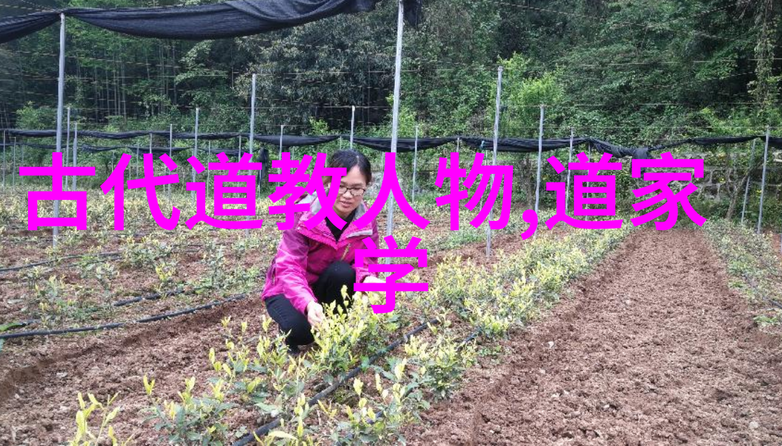 书法鉴赏探索古今字体之美