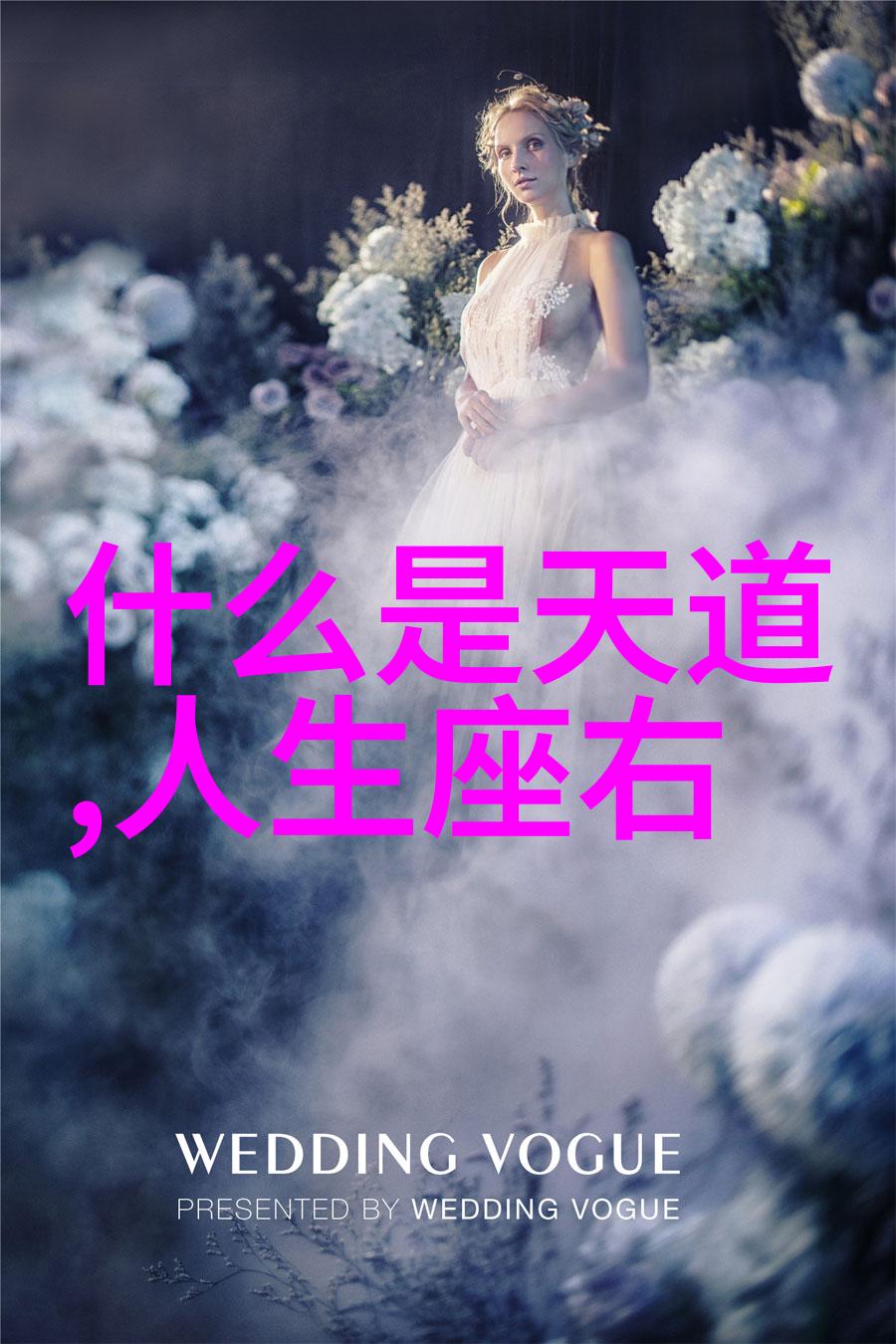 道家的智者探索内心的真理与和谐