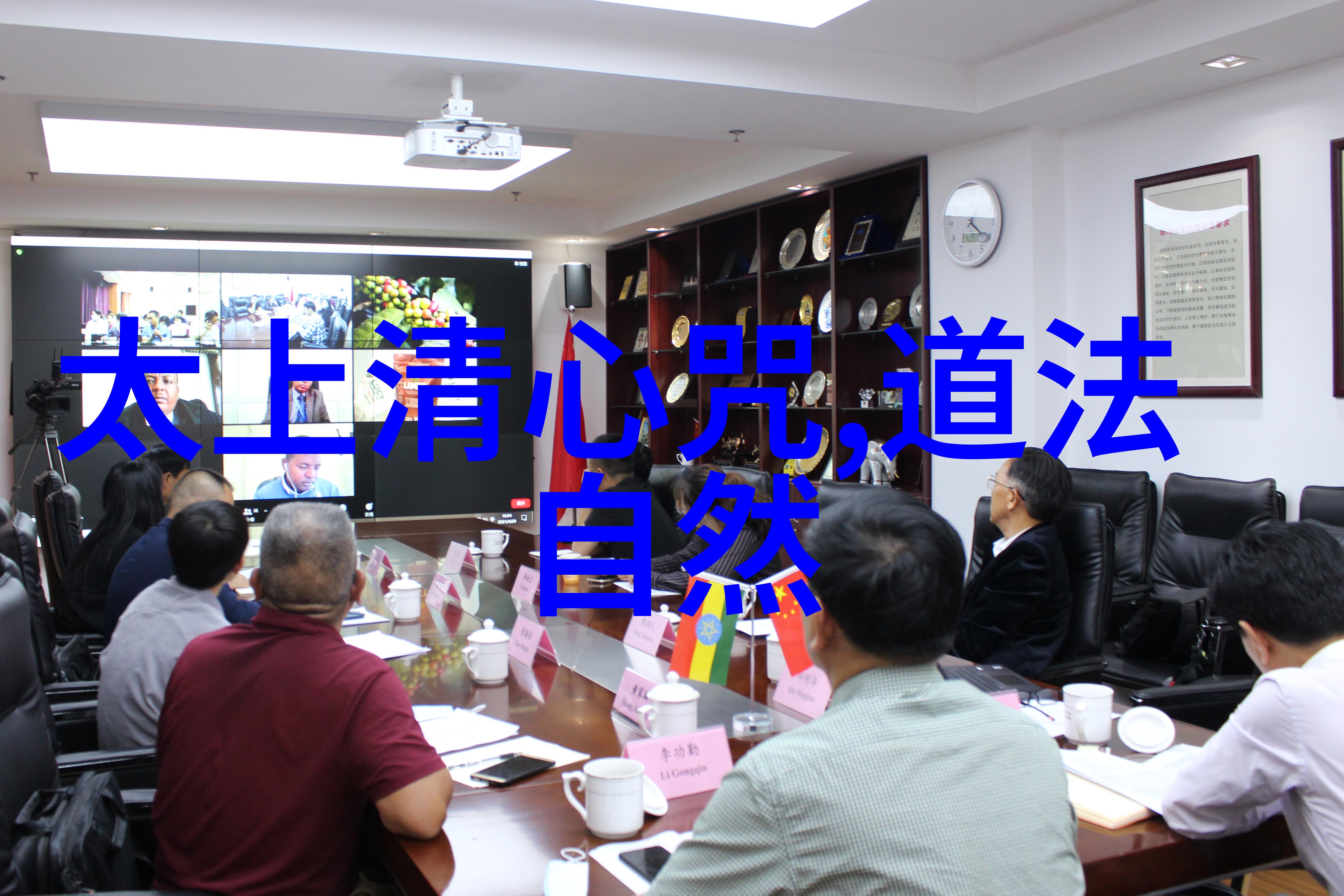 逆袭之星途闪耀追梦者的光芒
