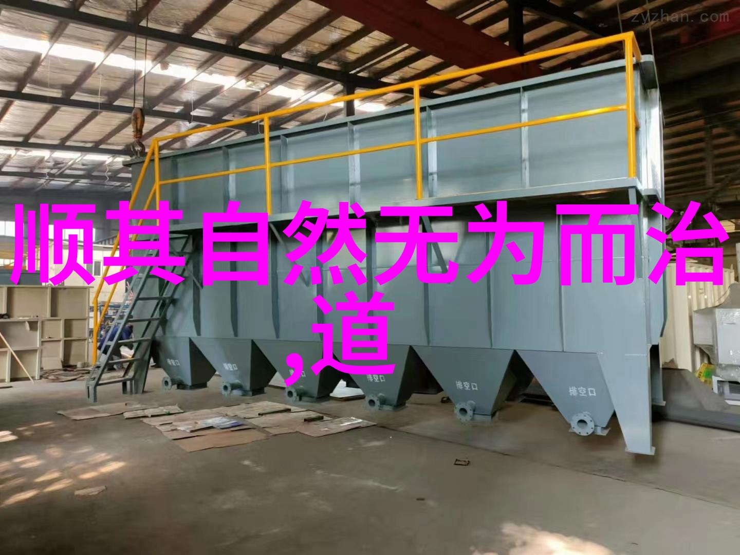 女人无欲则刚探索女性意志的深层之谜