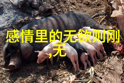 揭秘灵魂深处你该如何自我测试来发现有没有仙缘