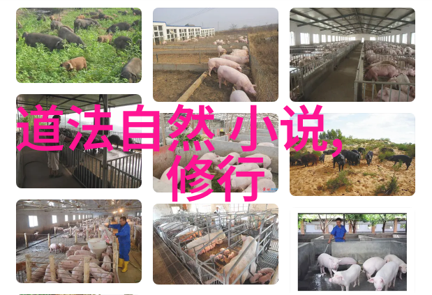 庄子探索自然与人的深层次哲思