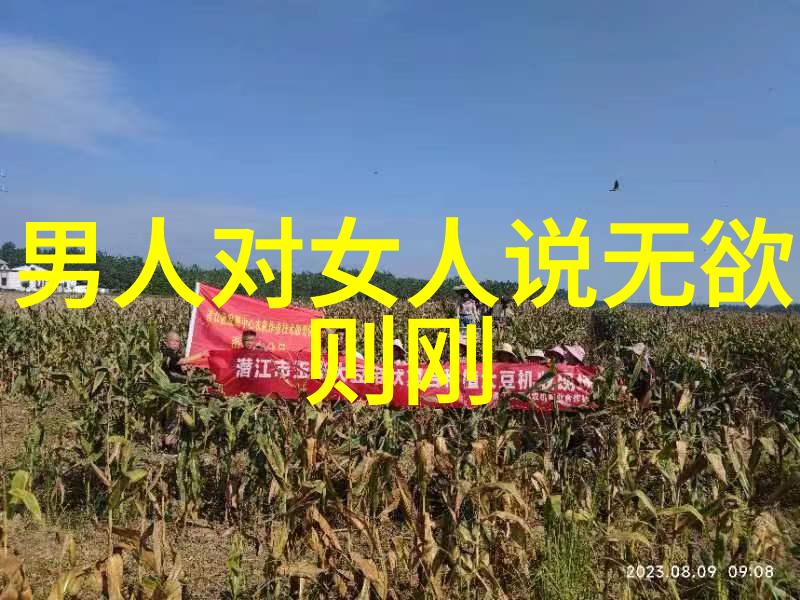 道德经感悟最好的一句道德经中深刻的哲理