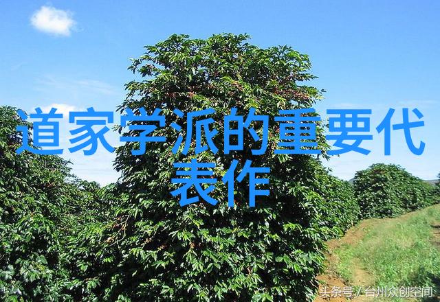 九字真言之谜手印背后的深层含义是什么
