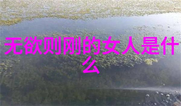 心灵深渊探索不朽与无限的哲学之旅
