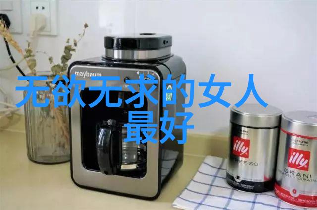 小米的心灵回声完整版日记揭秘