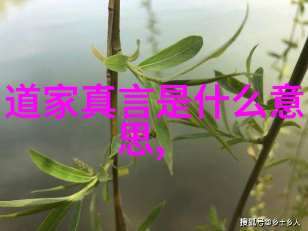 黄庭内景原文与译文的对照探究
