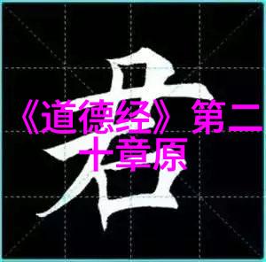 夸张藏医胚胎学融合十个民族的风俗与特点绘制生命之谜的壮丽图卷
