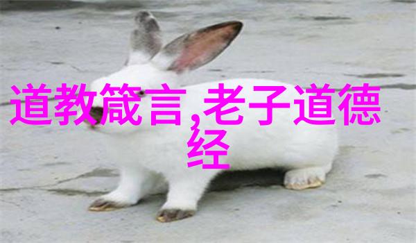 森林里的书香探索自然与文学的奇妙融合