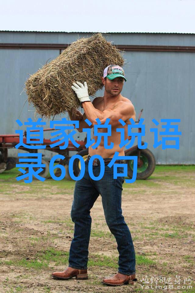 道法自然探秘内丹与外丹的奥秘