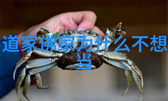 道家的智者探索自然之理与内心的平静