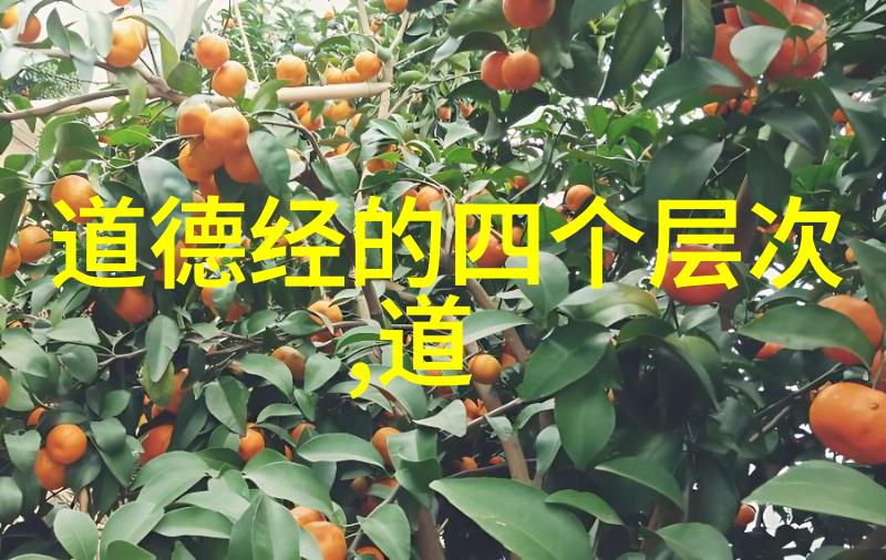 从无到有再到新的无