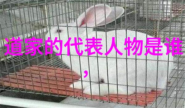 心境随笔如何在日常生活中找到100句优美诗句的意义