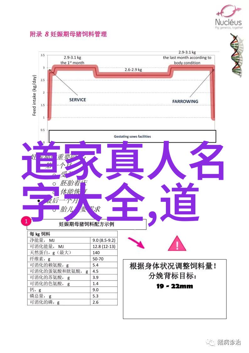 道家智慧老子与天地之旅