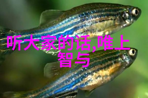 道家学说代表人物及其主张聊聊老子和庄周的智慧之路