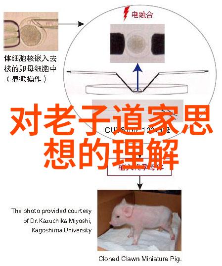 从纷扰世界寻求答案在何种情境下一句话就能让我们重新审视人生的方向