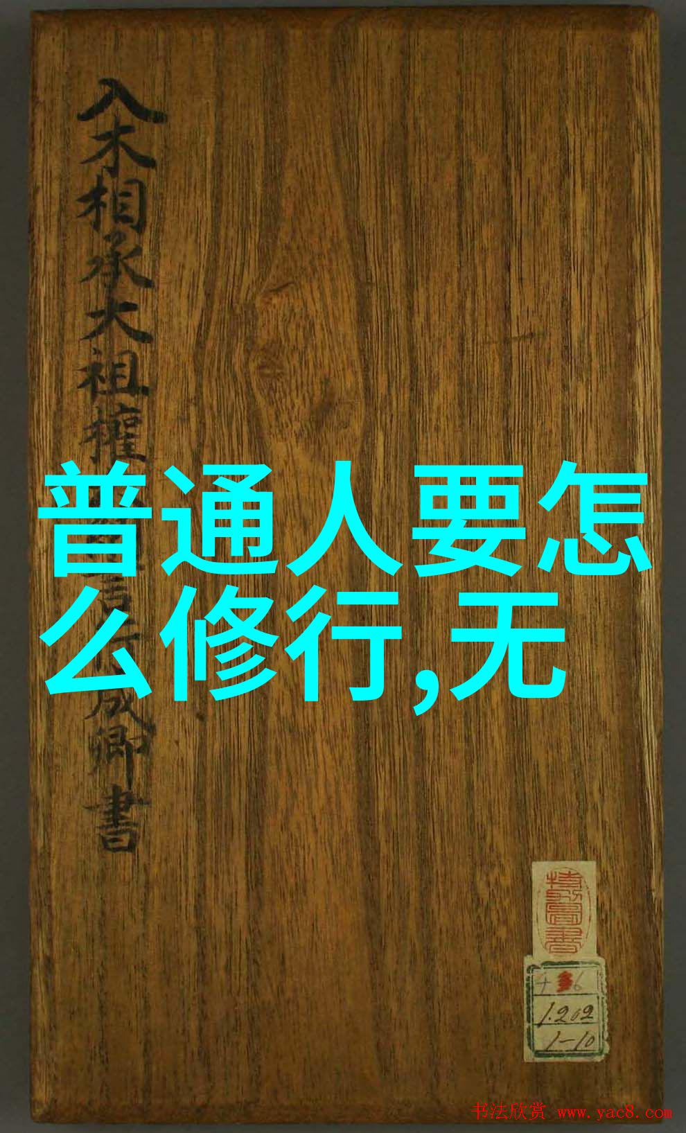 聂小雨视频3分25哪里可以看-追寻珍贵时刻聂小雨的3分25秒精彩瞬间在哪里观看