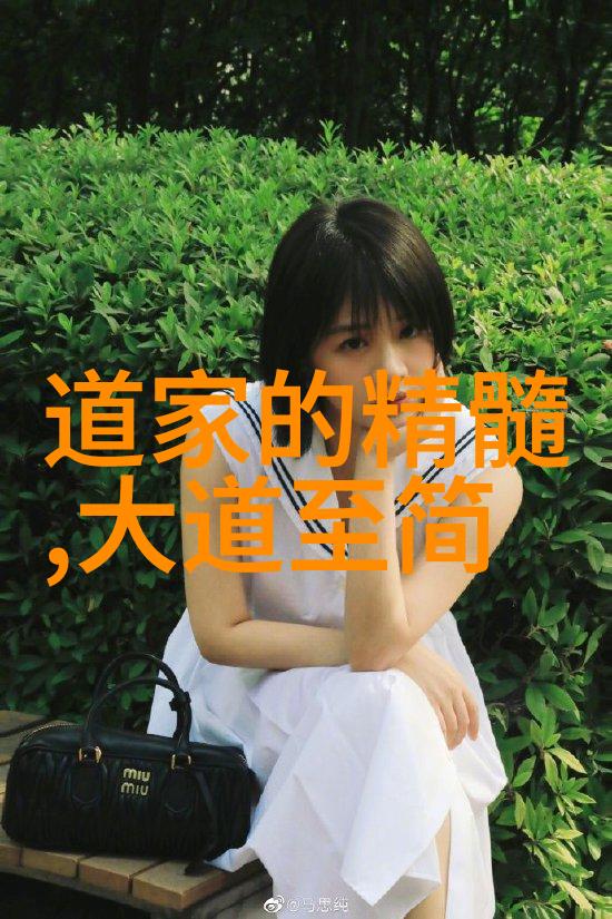 道家智慧的传承者历史上的道家名人篇章