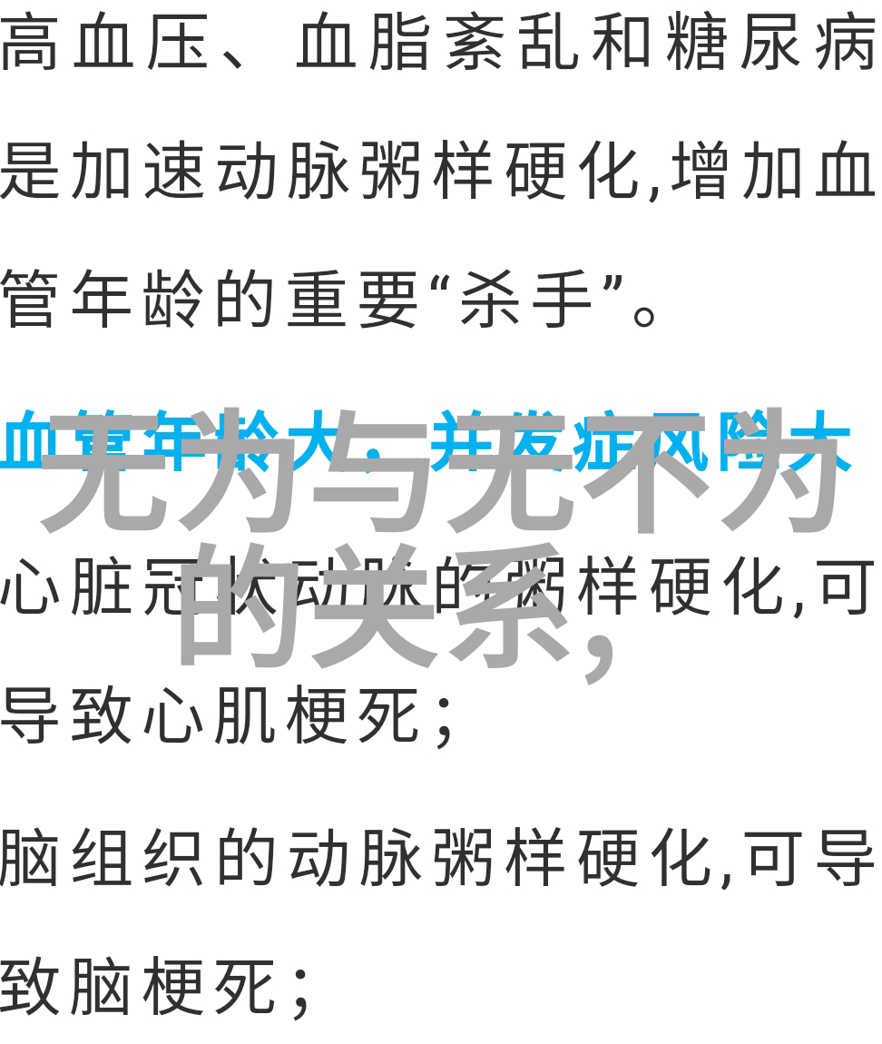 修行的诗句心灵的净化与智慧的滋养