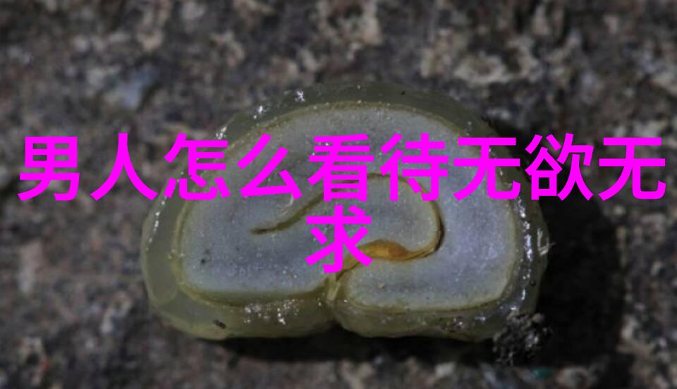 修行者的心事箱揭开修道人隐秘的情感世界