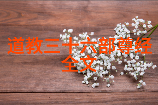 道教最厉害的人天师之巅的神秘传人
