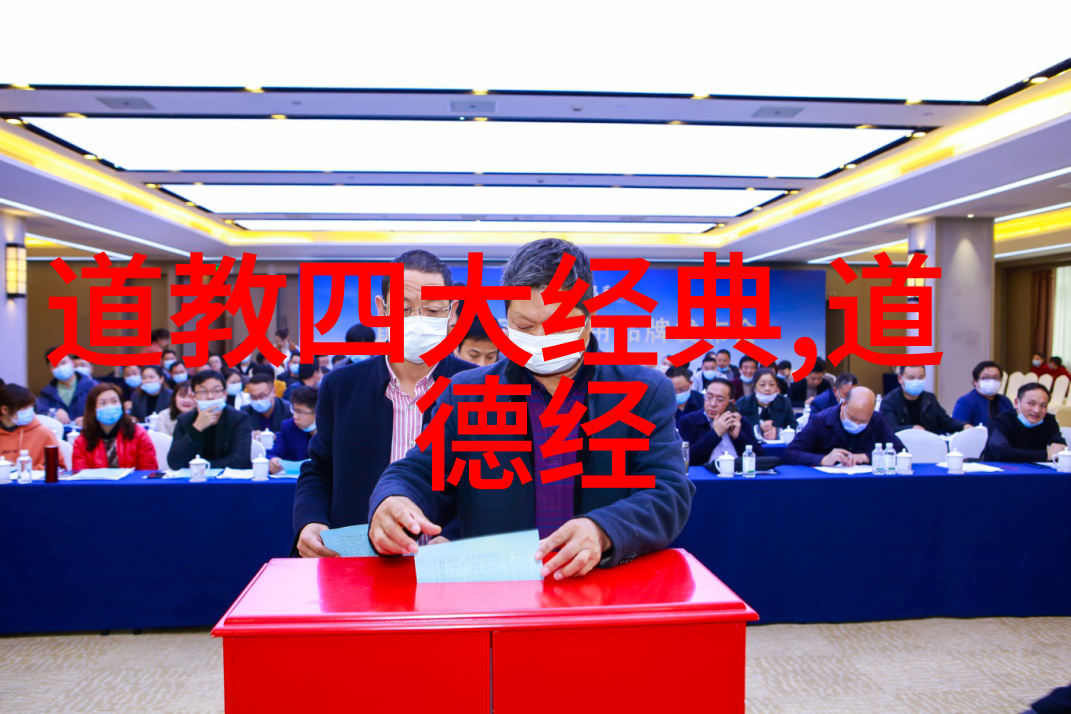 情感与理性之间的辩证小说家对生活态度的探索