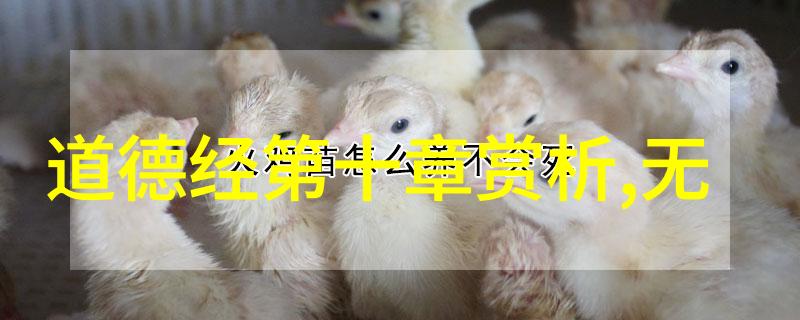 百合是怎样弄对方的视频我的朋友们都在讨论这个话题