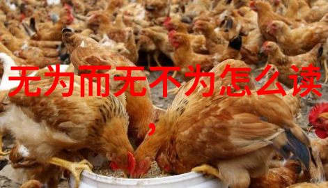 张岱孙的道家哲学研究现代解读古典思想
