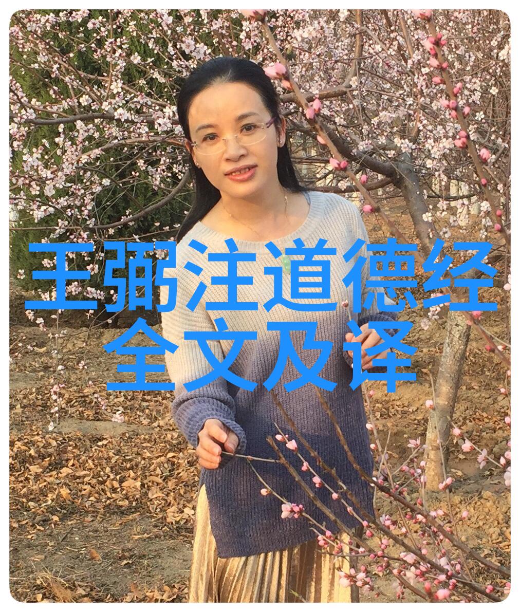 道教祖师爷引领天地之灵探索老子文化与内丹术的神秘面纱
