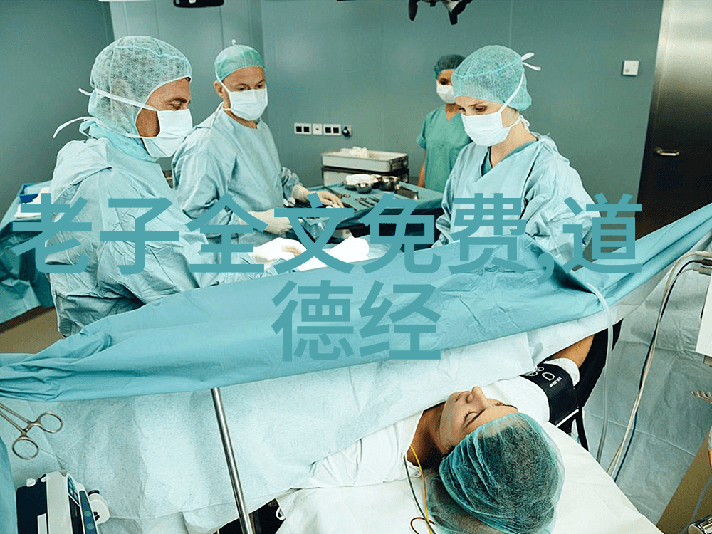 道家学说的代表人物隐逸者与智慧的探索