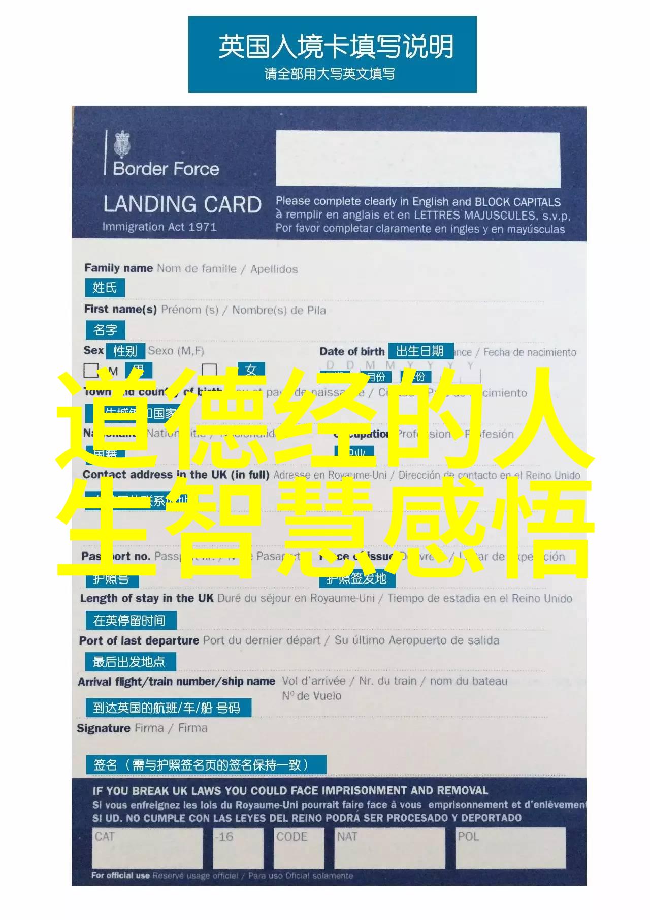 生活中怎么做到天人合一 - 和谐境界探索内心与自然的共鸣