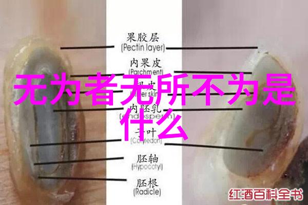 无为与有为探究道家哲学中的动静之辨及其对中国古代政治思想的影响