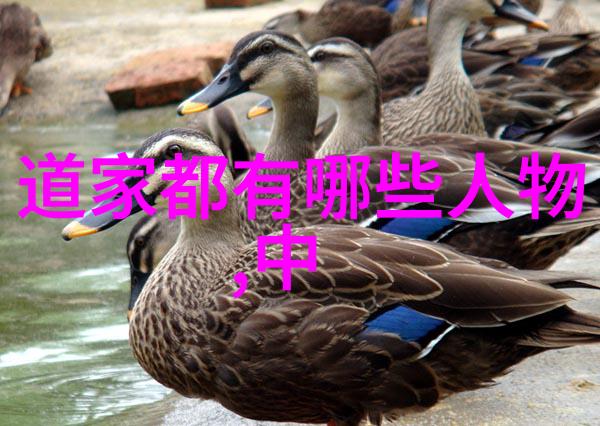 当今世界中哪些国家或地区实践得较好的无为之治