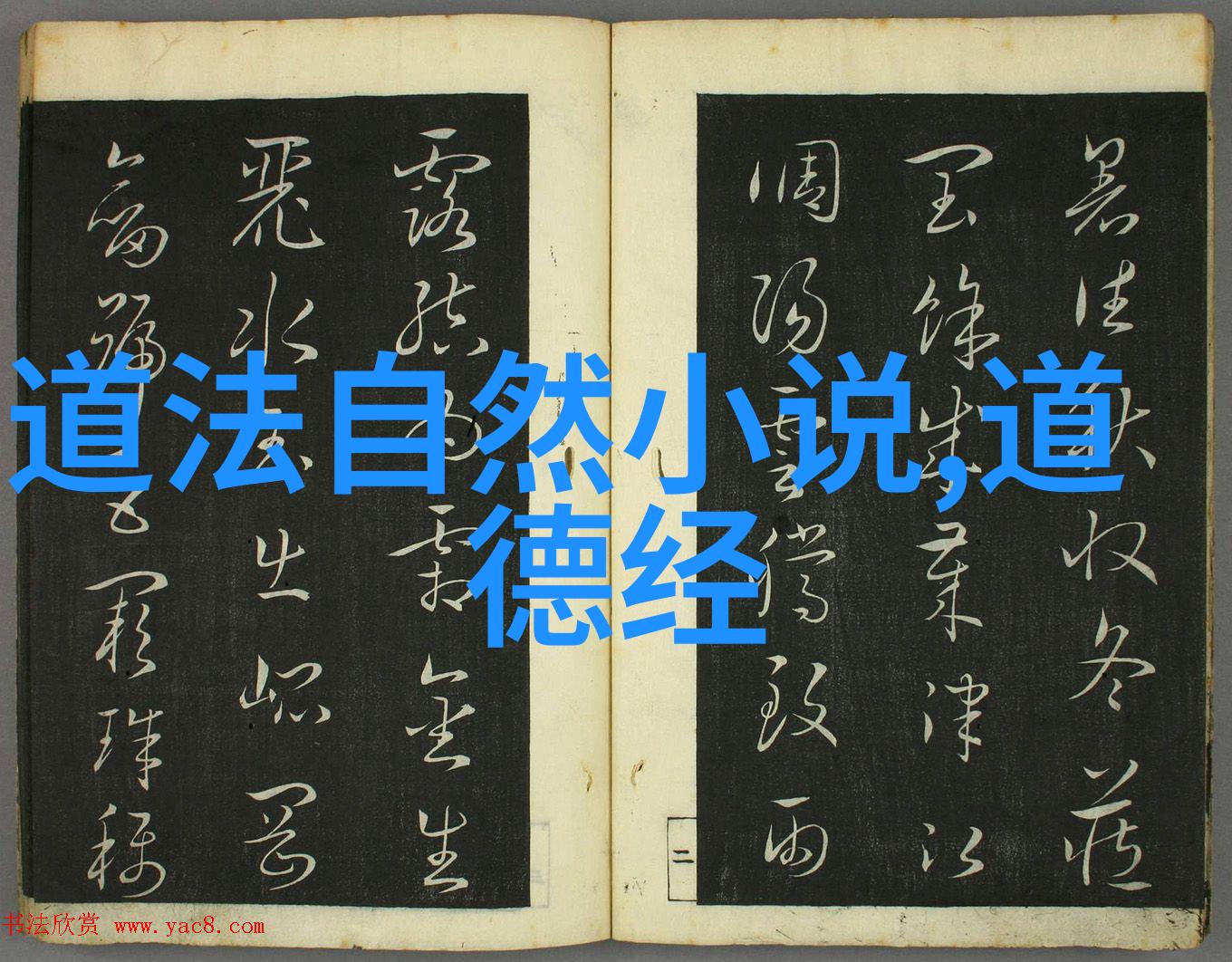 道家智慧的守护者论老子庄子与道家的核心理念