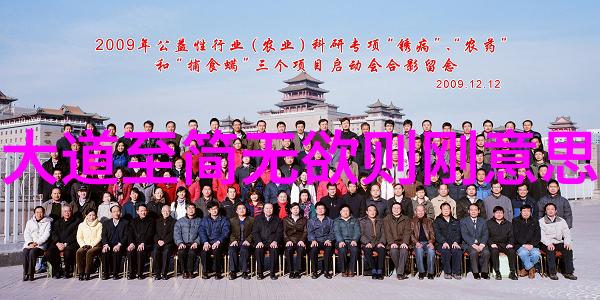 念九字真言后果 - 诅咒的力量九字真言背后的隐秘影响
