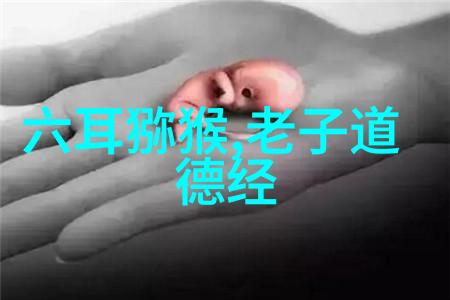 道家智慧山林间的哲学与江湖中的奇缘