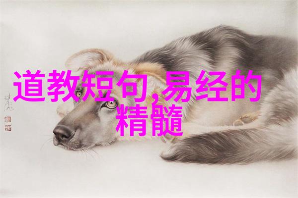 道教说爱情的最高境界爱是何方