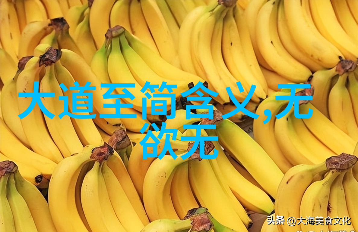道德境界的人物代表-品格高尚的楷模道德境界人物的探索