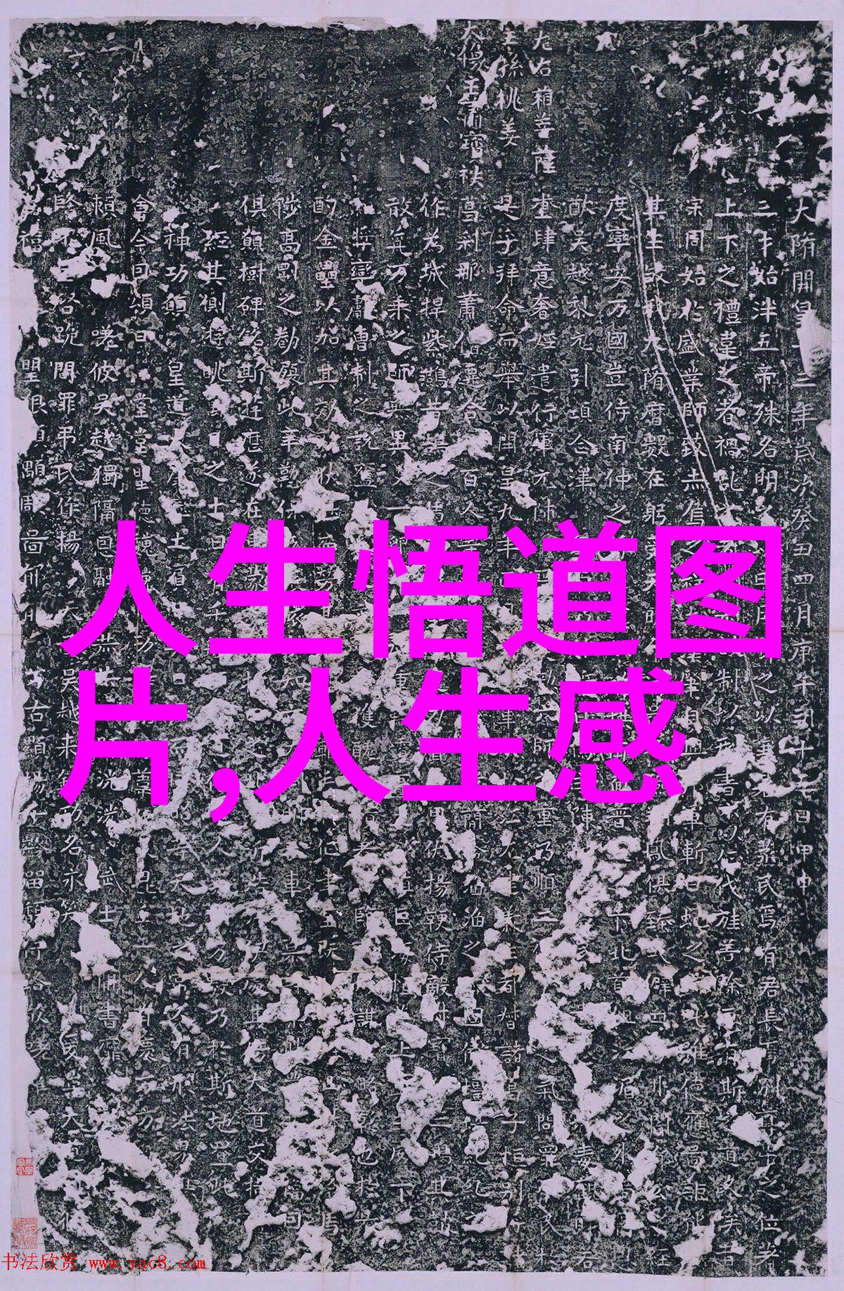 凸凸凹BBWBBWBBWBBW - 丰满魅力探索大型女性美的文化象征
