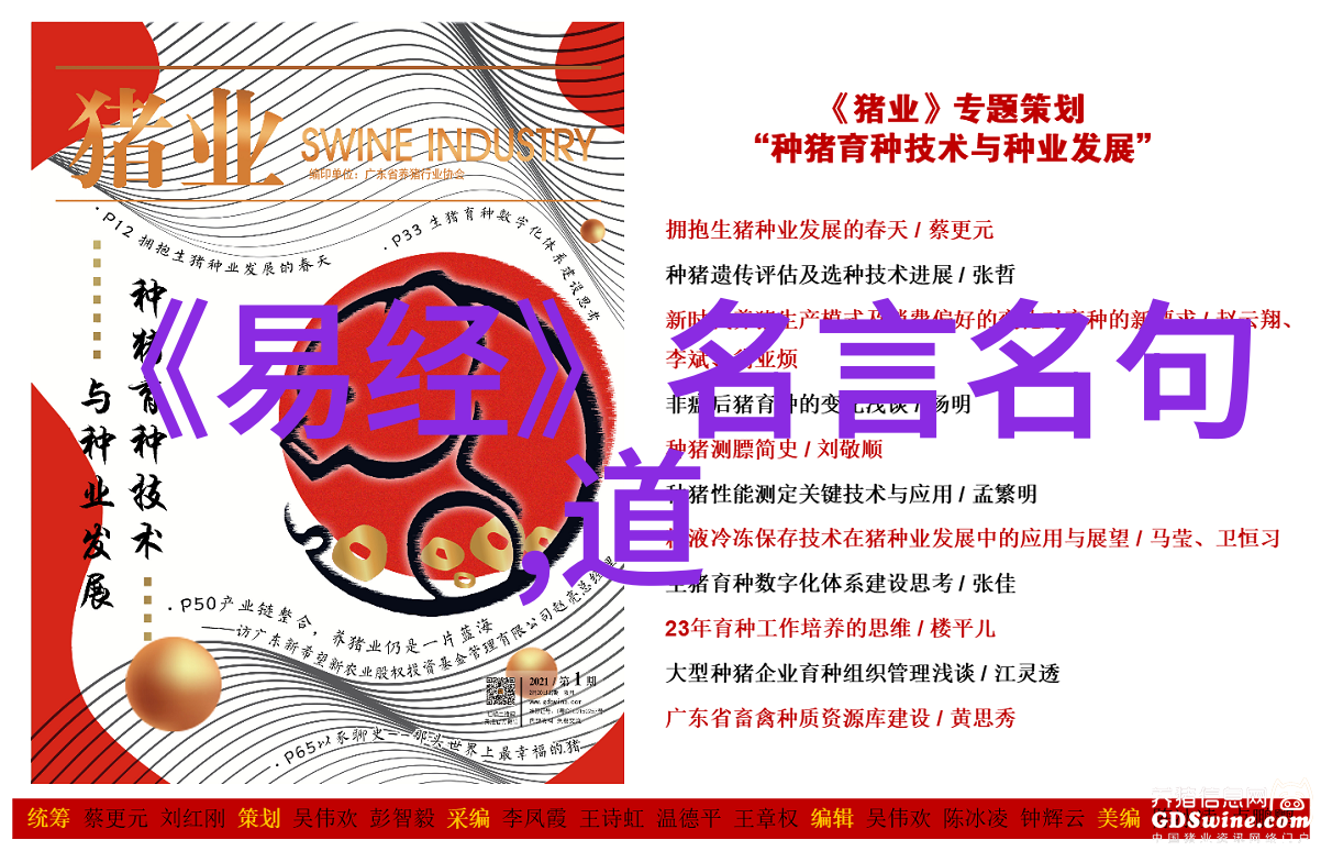 属于道家学派的人物老子在江湖我是如何炼成的道家的