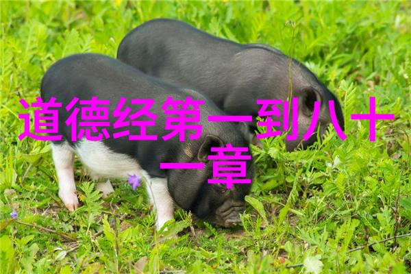 中国道教的现代化探索十位开创者之光
