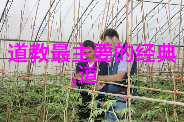 道家以什么和什么为经典我怎么知道老子聊天时就说了道呢