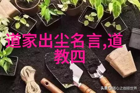 念与做之间的差距如何将道德经的教导转化为实际行动