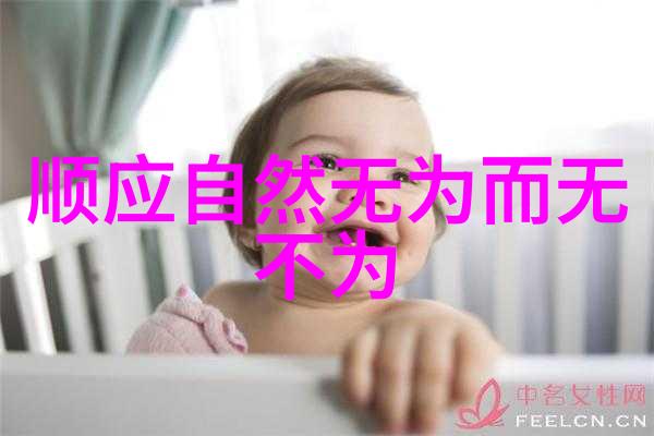 历史名人简介大全-风华录诠释千古英杰的传记集