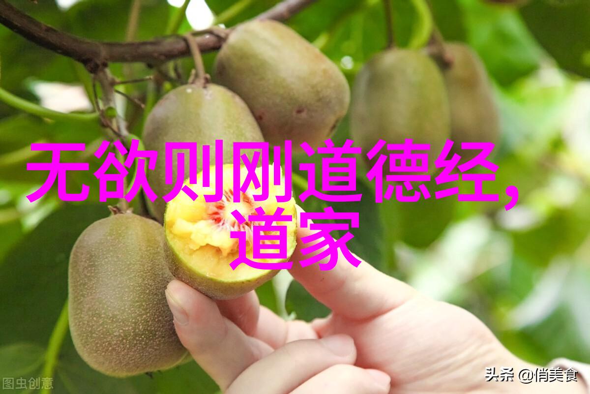 她曾是无欲的剑