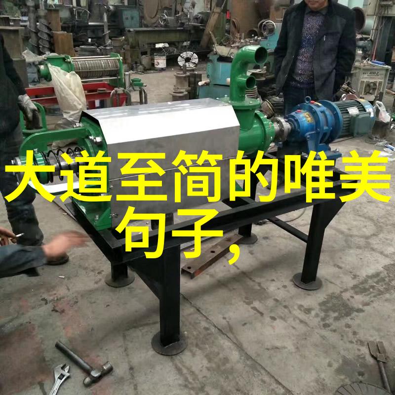 中国56个民族节日风俗中的藏戏服饰艺术