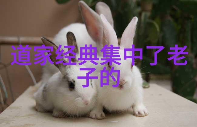 书法的作品-墨香随笔书法艺术的精华探索