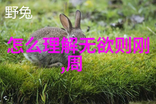 无欲即达无求之女的智慧深度