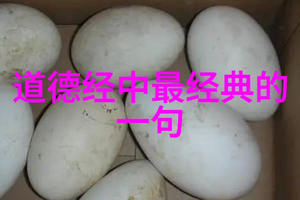 人之道为而不争天之道利而不害道德与自然法则的和谐共生
